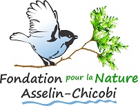 Fondation Asselin Chicobi